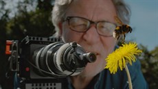 14. My Garden of a Thousand Bees_Dandelion NR_2.22.22_thumb.jpg